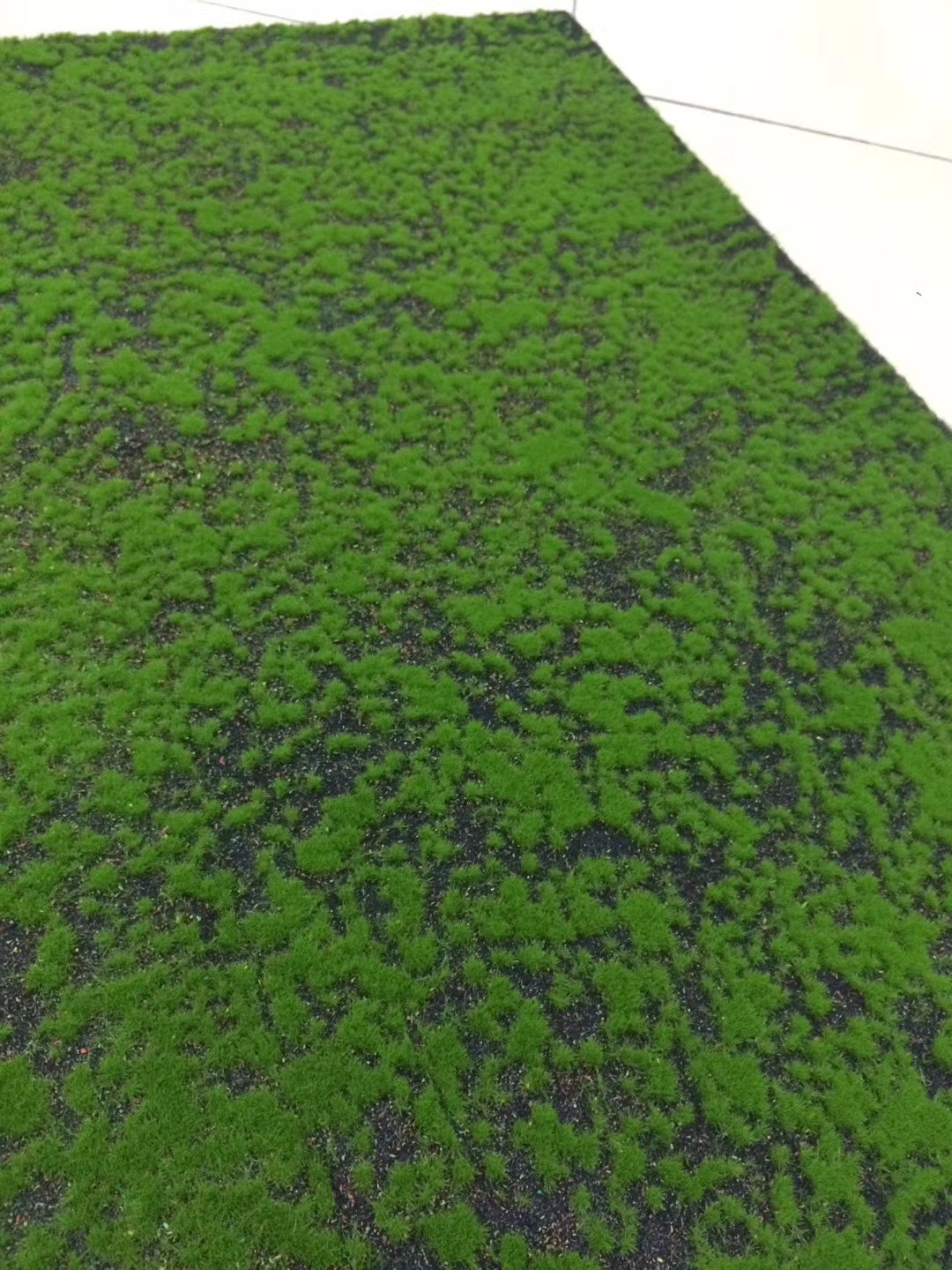 绿植墙安装